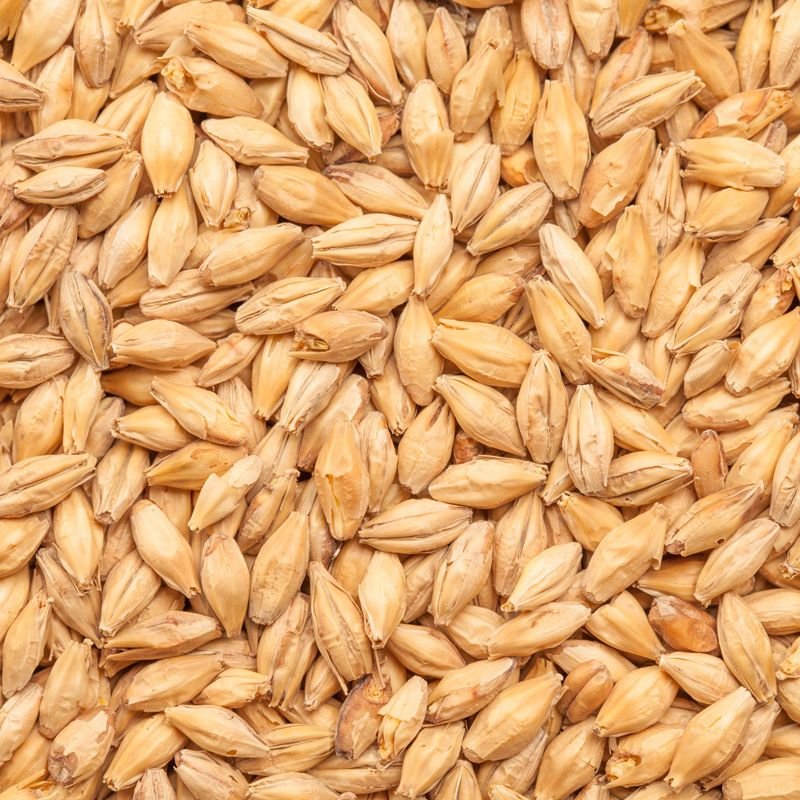 Pale Ale Malt ØKO Bestmalz Malt