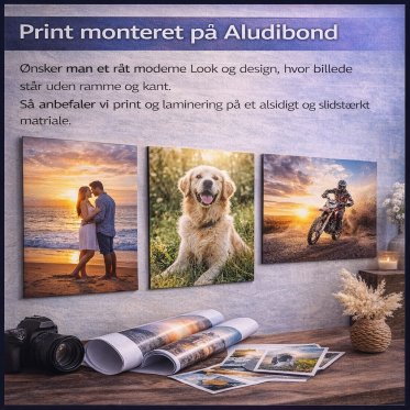 Print monteret p� Aludibond �nsker man et r�t moderne Look og design, hvor billede st�r uden ramme og kant. S� anbefaler vi print og laminering p� et alsidigt og slidst�rkt matriale.