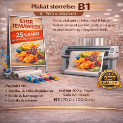 Plakatprint B1 (70,0 x 100,0 cm)