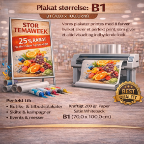 Plakatprint B1 (70,0 x 100,0 cm)