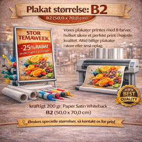 Plakatprint B2 (50,0 x 70,0 cm)