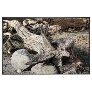 Trkunst ved Bakkeblle