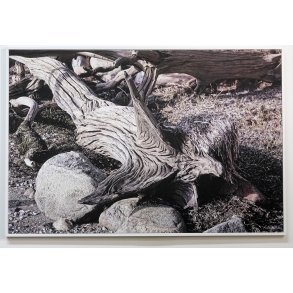 Trkunst ved Bakkeblle