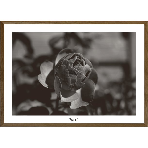 Rosen
