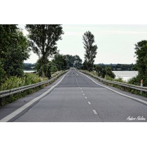 Morgenstund p Bog Dmningen 