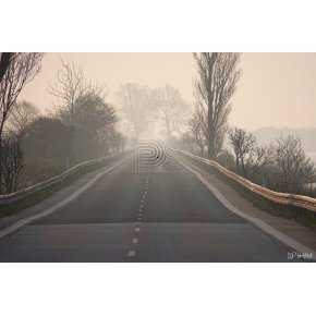 Tget morgen p Bog dmningen