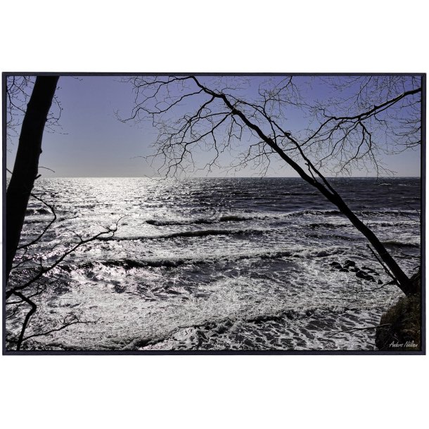 Kyst - vandkant