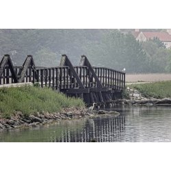 Dyr - Fugle &amp; Insekter