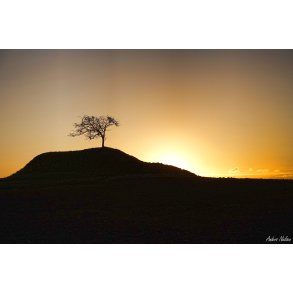 Morgenstemning p Vestmn