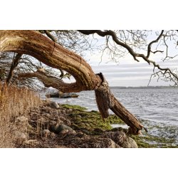 Skulpturer - trkunst