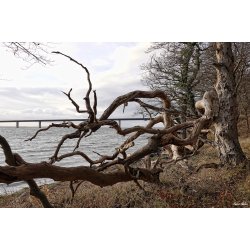 Skulpturer - trkunst