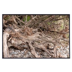 Skulpturer - trkunst