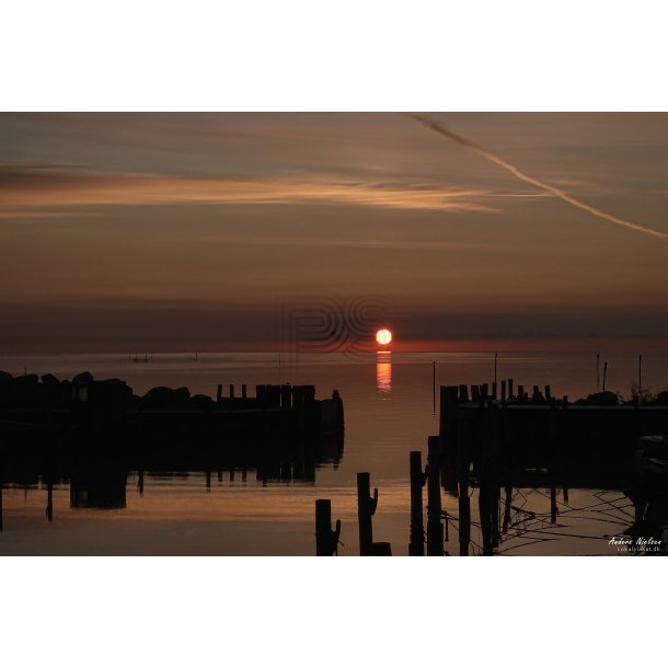 Solopgang fra Havnen