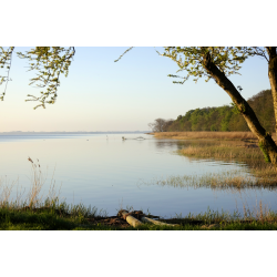 Blomster &amp; Natur