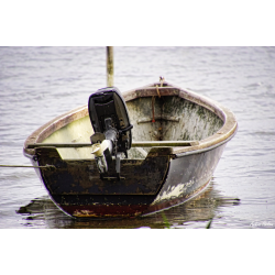 Blomster &amp; Natur