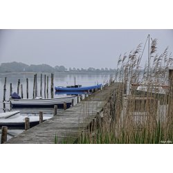 Blomster &amp; Natur