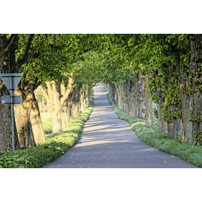 Lilliendal Alle Mern