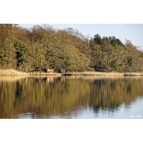 Fiskerleje ved Petersvrft