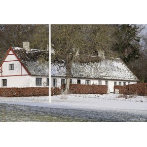 Skovkuske bolig - Petersvrft