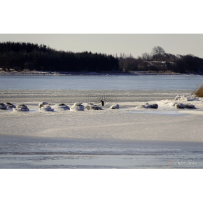 Vinterstemning ved Petersvrft