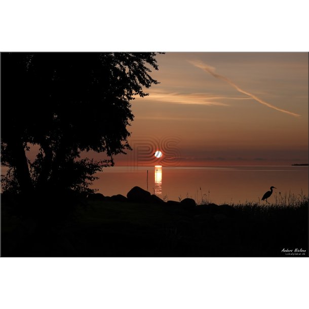 Morgen Stilhed