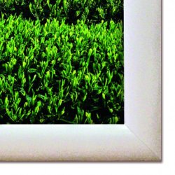 Alu snap frame, 25 mm Hvid