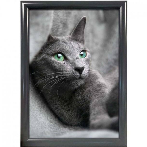 Alu snap frame, 25 mm Antracit