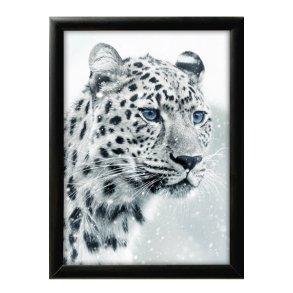 Alu snap frame, 25 mm Sort