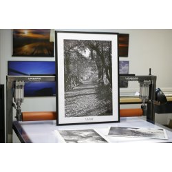 Frdigramme i tr - sort