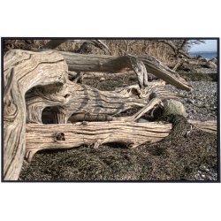 Skulpturer - trkunst