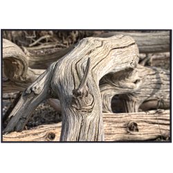 Skulpturer - trkunst