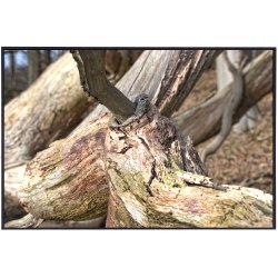 Skulpturer - trkunst