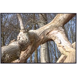 Skulpturer - trkunst