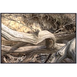 Skulpturer - trkunst