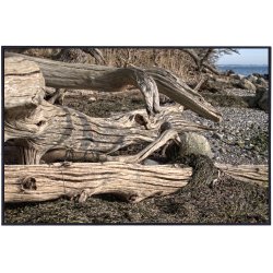 Skulpturer - trkunst