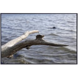 Skulpturer - trkunst