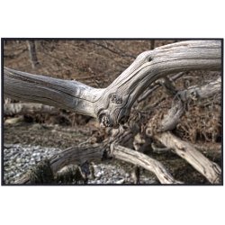 Skulpturer - trkunst