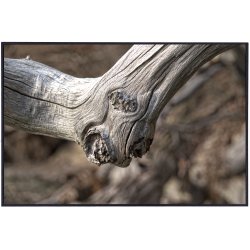 Skulpturer - trkunst