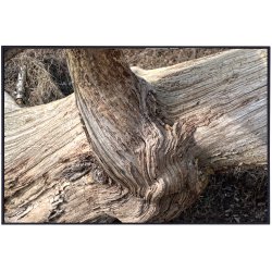 Skulpturer - trkunst