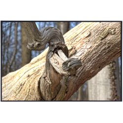 Skulpturer - trkunst