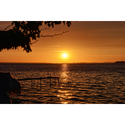 Morgenstund over Nyord