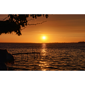 Morgenstund over Nyord