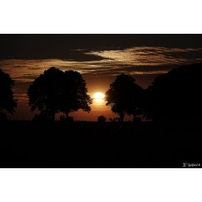 Solnedgang ved afkrsel 41