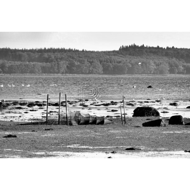 Sort/hvid-fotografi