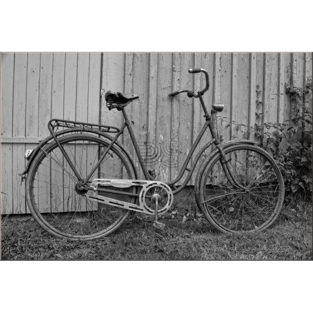 Cyklen