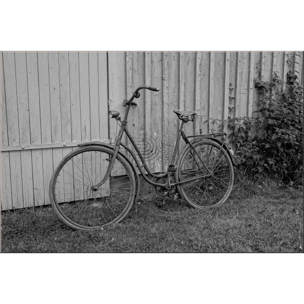 Cyklen