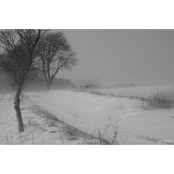 Snestorm