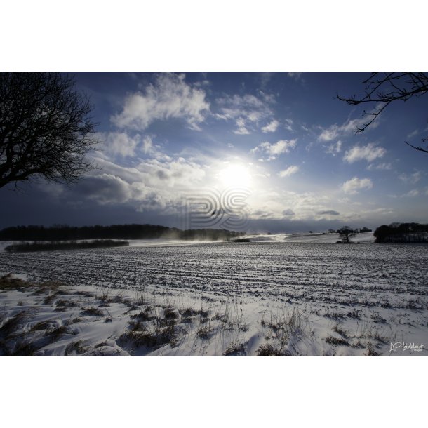 Vinter view
