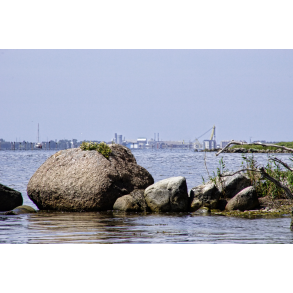 Bakkeblle - med udsigt over Vordingborg