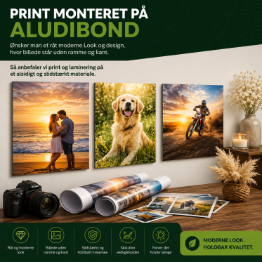Print monteret p&aring; Aludibond